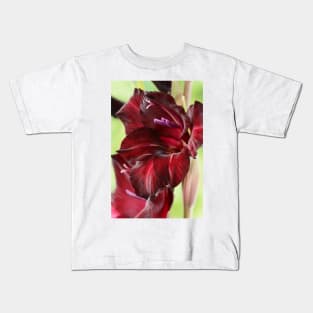 Gladiolus  &#39;Espresso&#39;  Sword lily Kids T-Shirt